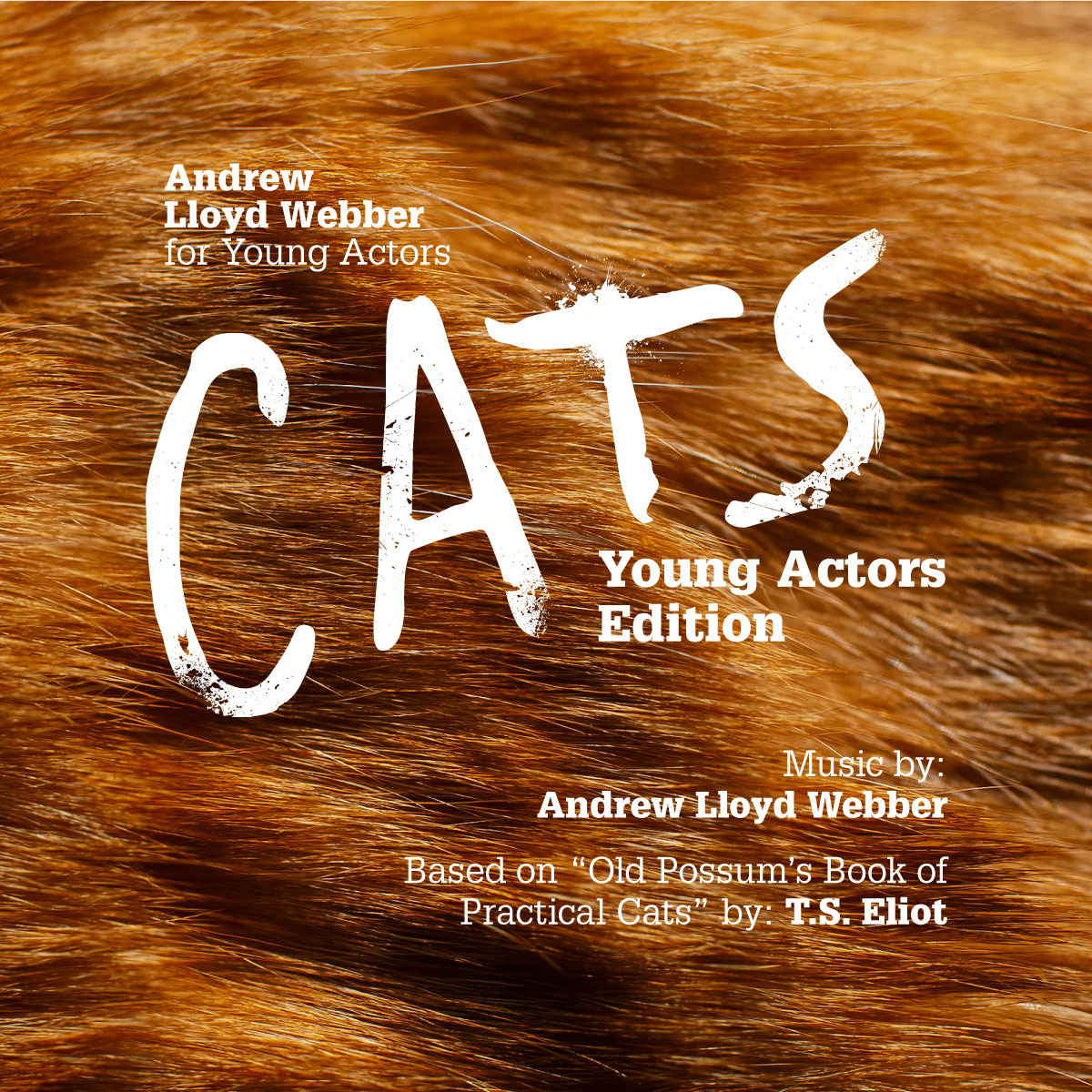 Cats Young Actors Edition Musical Theatre Workshop
